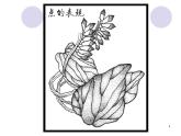 第6課黑白裝飾畫課件 人美版初中美術九年級上冊