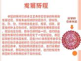 第8课走进民间美术课件 人美版初中美术九年级上册　
