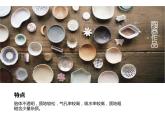 人教版美術(shù)九年級上冊 第3單元《土與火的藝術(shù)》 課件
