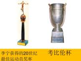 人教版美術(shù)七年級(jí)下冊第三單元《喜悅與收獲》ppt課件1[www.7cxk.net]