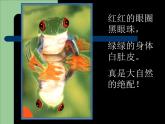 人教版美術七年級下冊第二單元第1課《色彩的魅力》課件PPT