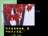 人教版美術七年級下冊第二單元第1課《色彩的魅力》課件PPT