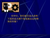 《手繪線條圖像—物象立體的表達(dá)》課件