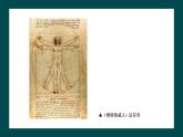 第二單元第2課《在校園中健康成長》課件+教案