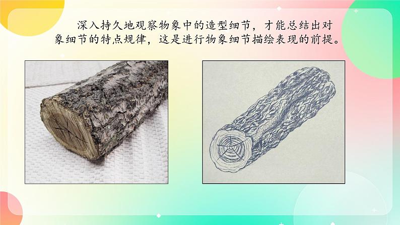 湘美版八年级上册美术4.《用画笔触摸细节》课件+教案02