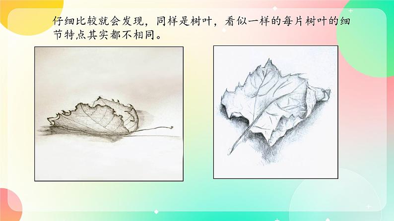 湘美版八年级上册美术4.《用画笔触摸细节》课件+教案03