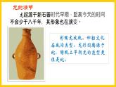 人美版美術(shù)初中七年級(jí)上冊 第3課《大家動(dòng)手做條龍》課件+教案+素材
