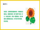 【核心素養(yǎng)】人美版美術八上 第8課《紙板的創(chuàng)想——成形方法》課件+教案