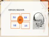 【人教版】八上美術(shù)  1.1《造型的表現(xiàn)力》課件+教案