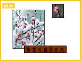 湘美版美術八上2《梅竹言志》課件+教案