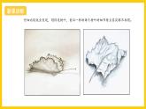 湘美版美術(shù)八上4《用畫筆觸摸細節(jié)》課件+教案