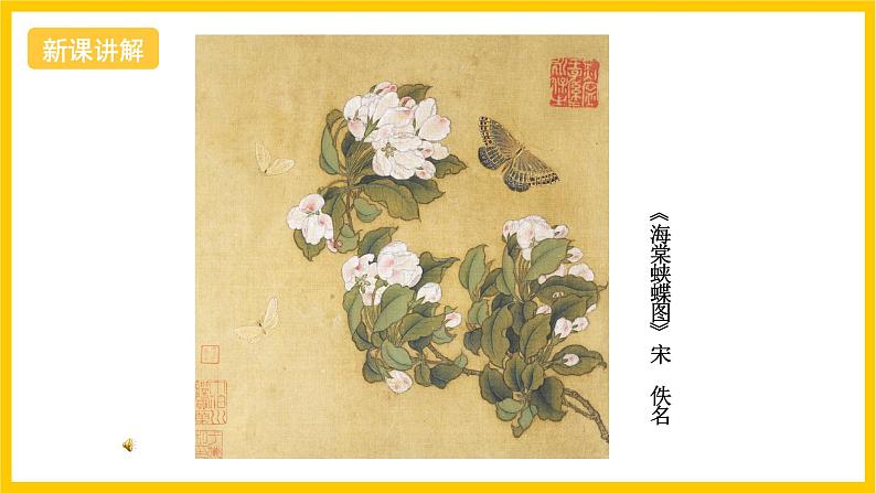 浙美版美术七上6《出水芙蓉》课件04