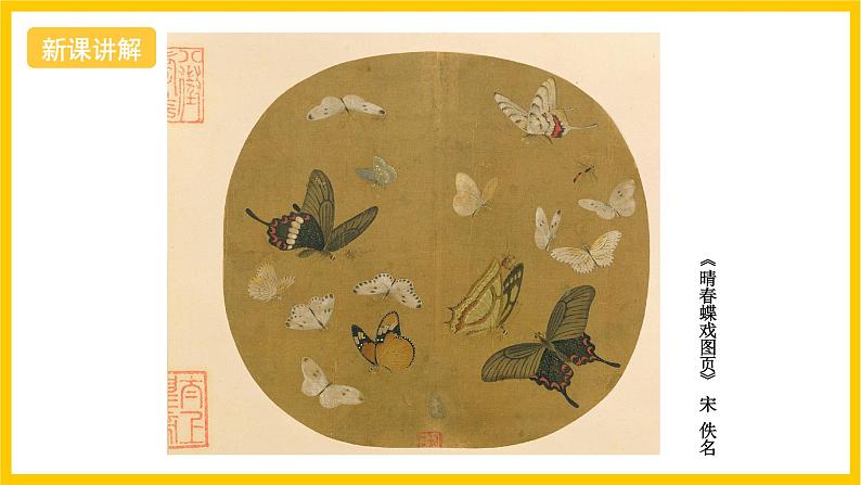 浙美版美术七上6《出水芙蓉》课件05