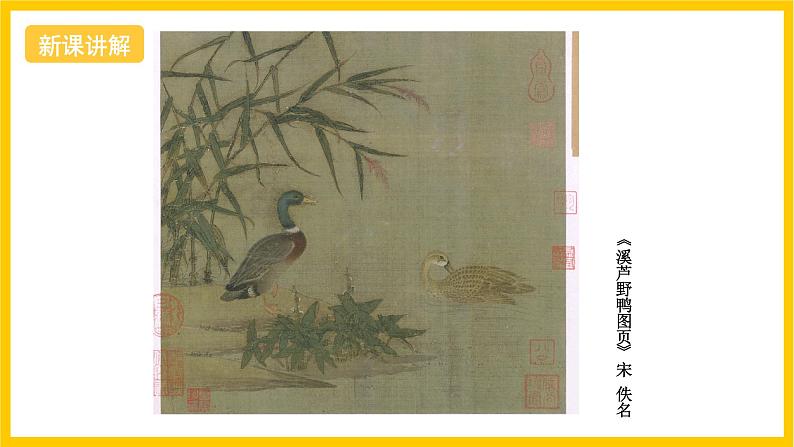 浙美版美术七上6《出水芙蓉》课件07