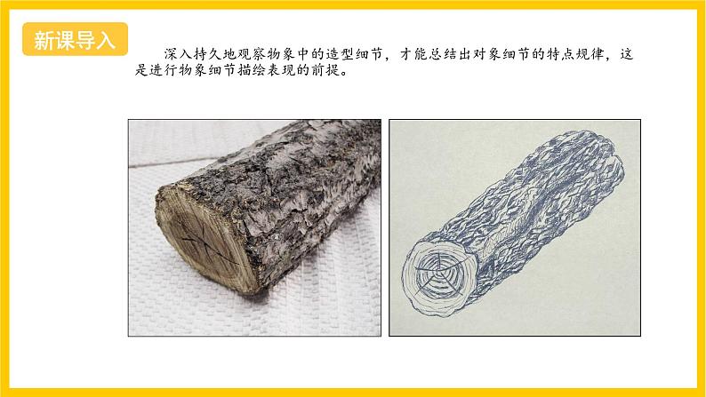 湘美版美术八上4《用画笔触摸细节》课件第2页