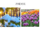人教版初中美術(shù)七年級下冊 第二單元 第1課 色彩的魅力   課件