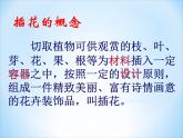人教版初中美術(shù)八年級下冊 第三單元 第1課 插花   課件