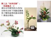 人教版初中美術(shù)八年級下冊 第三單元 第1課 插花   課件3