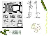 人美版初中美術(shù)七年級下冊2. 手繪線條圖像——物象立體的表達(dá)   課件2