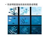 人美版初中美術(shù)七年級下冊3. 同類色與鄰近色   課件3