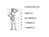 人教版美術(shù)七年級(jí)上冊(cè) 第2單元第1課《小伙伴》課件1