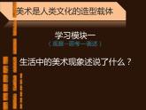 人美版初中美術(shù)八年級(jí)上冊(cè)1. 美術(shù)是人類文化的造型載體   課件