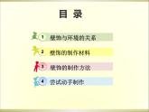 人美版初中美術(shù)八年級下冊  9.墻壁小飾物   課件