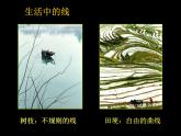 人美版初中美術九年級上冊 2. 線條的藝術表現(xiàn)力    課件1