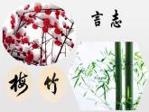 湘美版初中美術(shù)八年級(jí)上冊 第2課 梅竹言志   課件2