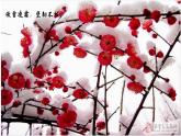 湘美版初中美術(shù)八年級(jí)上冊 第2課 梅竹言志   課件2
