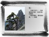 湘美版初中美術(shù)八年級(jí)上冊(cè) 第3課 寄情山水   課件1