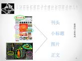 浙美版初中美术七年级上册 5.板报设计   课件1
