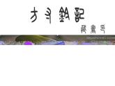人教版八年級上冊美術(shù)《方寸鈴記    藏書印》ppt