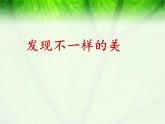 浙美版初中美术九年级下册 8.发现不一样的美   课件3