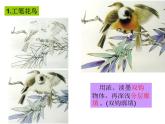 岭南美术出版社初中美术八年级上册  3.鸟语花香    课件1
