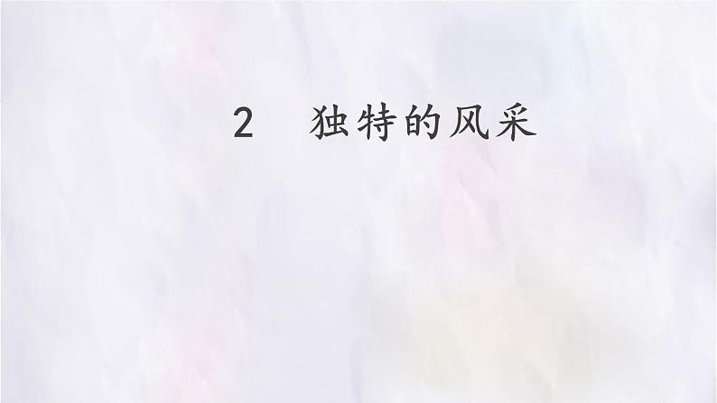 桂美版美术七年级下册 2.独特的风采   课件01