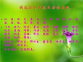 桂美版美术七年级上册 2.绚丽多彩的少数民族美术宝藏   课件