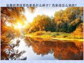 赣美版美术七年级下册 2.大自然之歌   课件