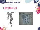赣美版美术八年级上册  6. 书籍装帧艺术   课件1