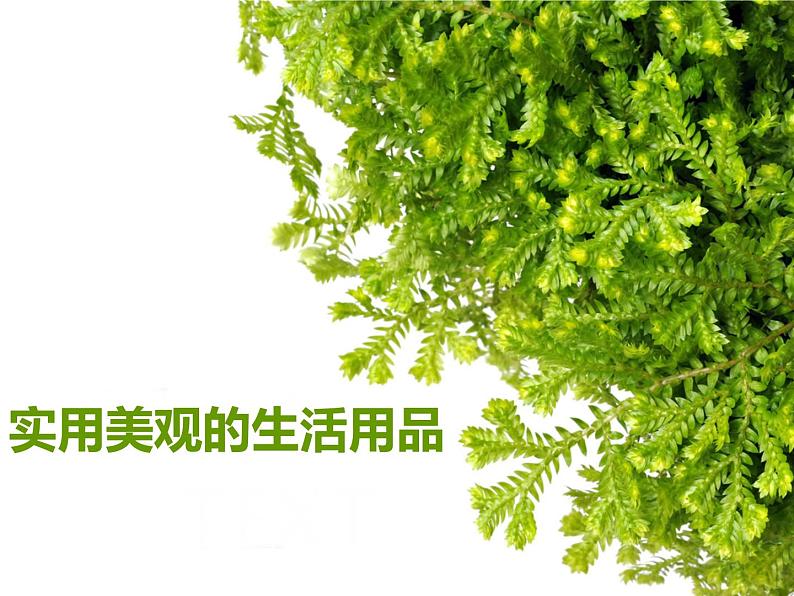 赣美版美术九年级上册  4.实用美观的生活用品   课件01