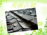赣美版美术九年级上册  8.美丽的家园   课件