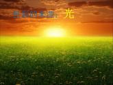 冀美版初中美术七年级上册 9.色彩的感受与联想   课件