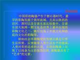 冀美版初中美术九年级下册 6.中国瓷器   课件
