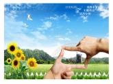 蘇少版初中美術(shù)八年級上冊 第 2 課 用心靈接觸自然   課件1
