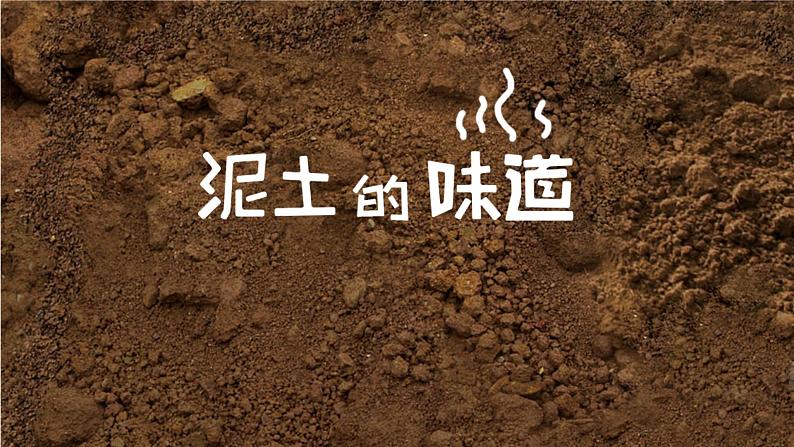 苏少版初中美术八年级上册 第 7 课 泥土的味道   课件101