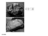 7.樹石畫法（課件+教學(xué)設(shè)計）-2023-2024學(xué)年浙美版初中美術(shù)七年級下冊