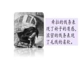 第四課 用筆畫觸摸細(xì)節(jié) 課件 2024-2025 學(xué)年湘美版初中美術(shù)八年級(jí)上冊