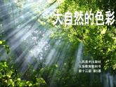 人美版美术七年级上册6.  大自然的色彩课件