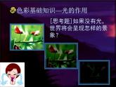 人美版美术七年级上册7 色彩与生活(1)课件