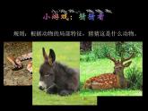 人美版美術(shù)七年級(jí)上冊3 大家動(dòng)手做條龍課件